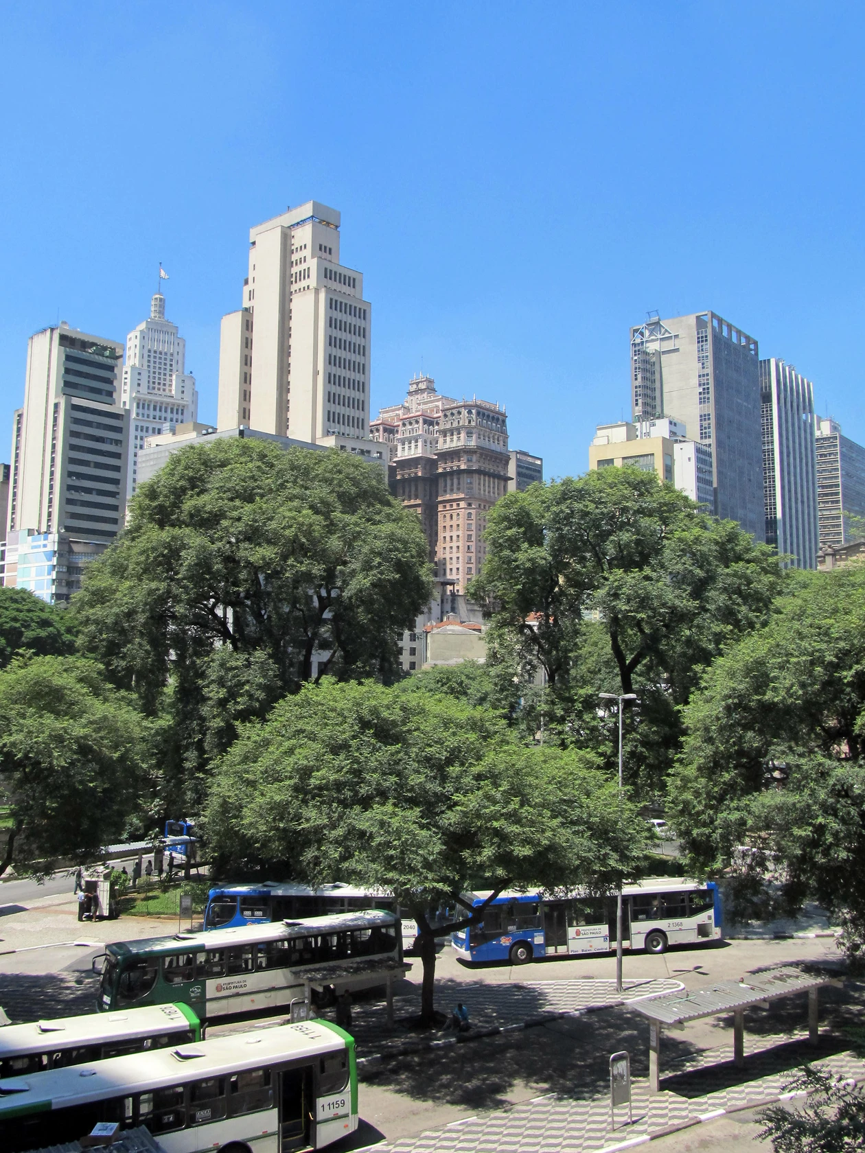 Buses parked on a city street in Brazil with tall buildings in the background.